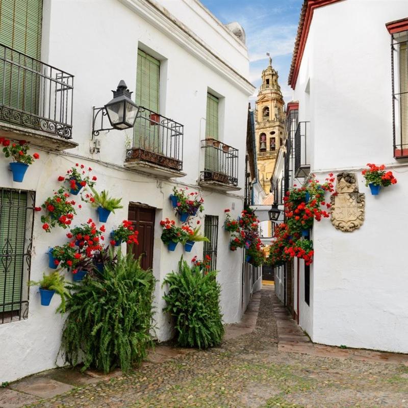 شقة El Patio De San Miguel قرطبة المظهر الخارجي الصورة