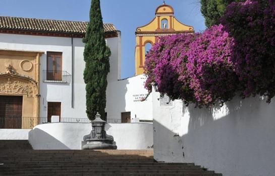 شقة El Patio De San Miguel قرطبة المظهر الخارجي الصورة